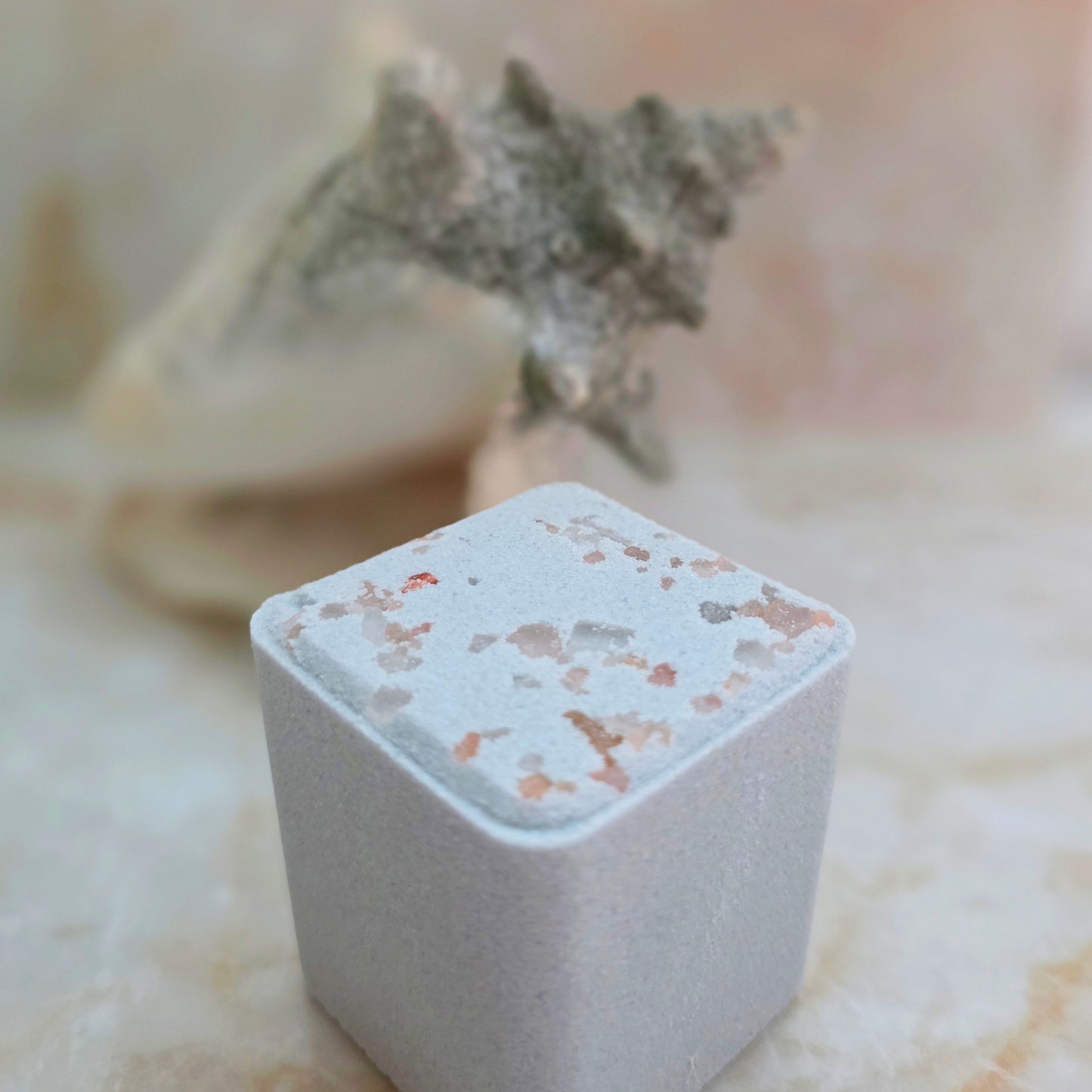 Tidal Pool Saltwater + Driftwood Bath Bomb